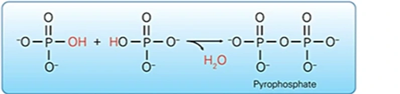ce670 - Images - Fig. 15
