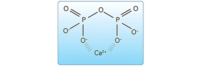ce670 - Images - Fig. 16