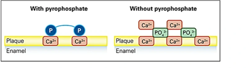 ce670 - Images - Fig. 17