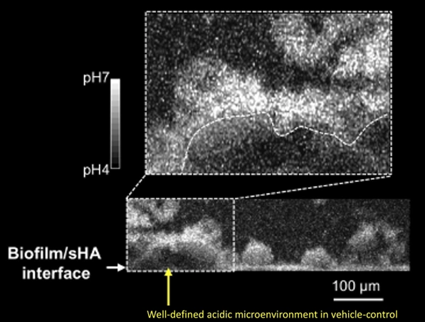 ce670 - Images - Fig. 8